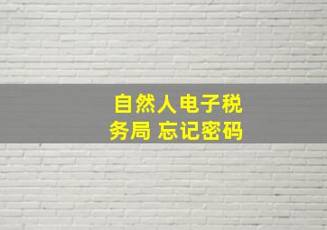 自然人电子税务局 忘记密码